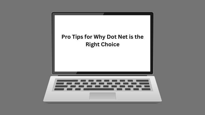 Pro Tips for Why Dot Net is the Right Choice