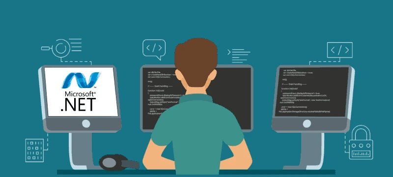 .net developer working